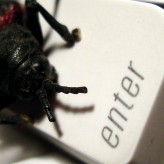 Microsoft Issue Warning over New Security Bug